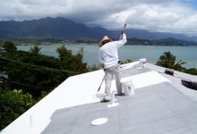 Cool Roofs for Comfort and Energy Saving