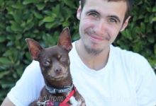 Chihuahua Dies After Weeks of Abuse
