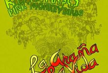 Kid Congo and The Pink Monkey Birds’ New Record