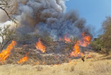 On the Rey Fire Line Saturday in Santa Barbara Backcountry