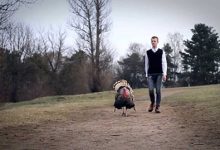 Animal Film Festival