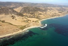 Gaviota Plan Coalescing