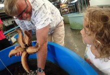OceanFest Celebrates UCSB’s REEF