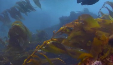 Visit the Channel Islands Virtually