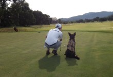 Vets Need Pets