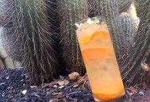 Cocktail Contest + Lotusland = Unforgettable Affair