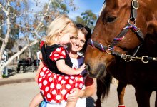 Costumed Horses Go Trick-or-Treating