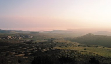 Carrizo Plain: The American Serengeti