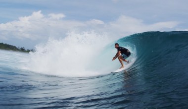 Welcome to the Jungle