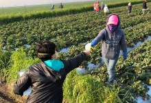Ventura Farmworkers, Spanish Speakers Left Out of Thomas Fire Emergency Response
