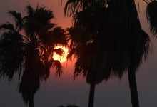 Life in the Thomas Fire Smoke