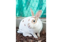 A Visit to BUNS