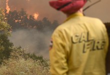 Firefighter Killed Battling the Thomas Fire