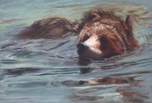 Ivanie Finsvik Shows ‘Animal Magnetism’
