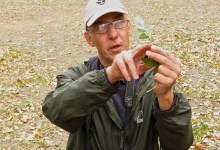 Foraging for Wild Beers