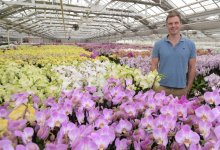 The S.B. Questionnaire: Toine Overgaag