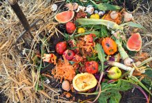 Santa Barbara’s Compost Gap