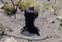 Out of the Mud & Ashes