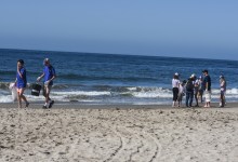 Coastal Cleanup Day a Success