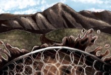 Lords of the Rings: Will Steel Nets Save Montecito?