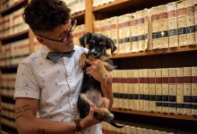 Displaced Riverbed Puppy Finds New Forever Home