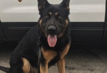 Sheriff’s Office Adds K-9 ‘Duke’