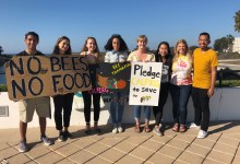 Thanks, Bees