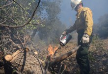 Figueroa Mountain Smokes in Controlled Burn