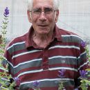 Albert Steven Frederick Elwood