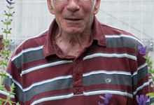 Albert Steven Frederick Elwood