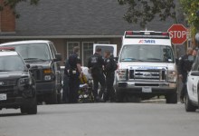 Domestic Violence Call Leads to Arrest