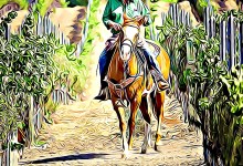 Cowboy for a Day with Toretti Wine and Bob Torres