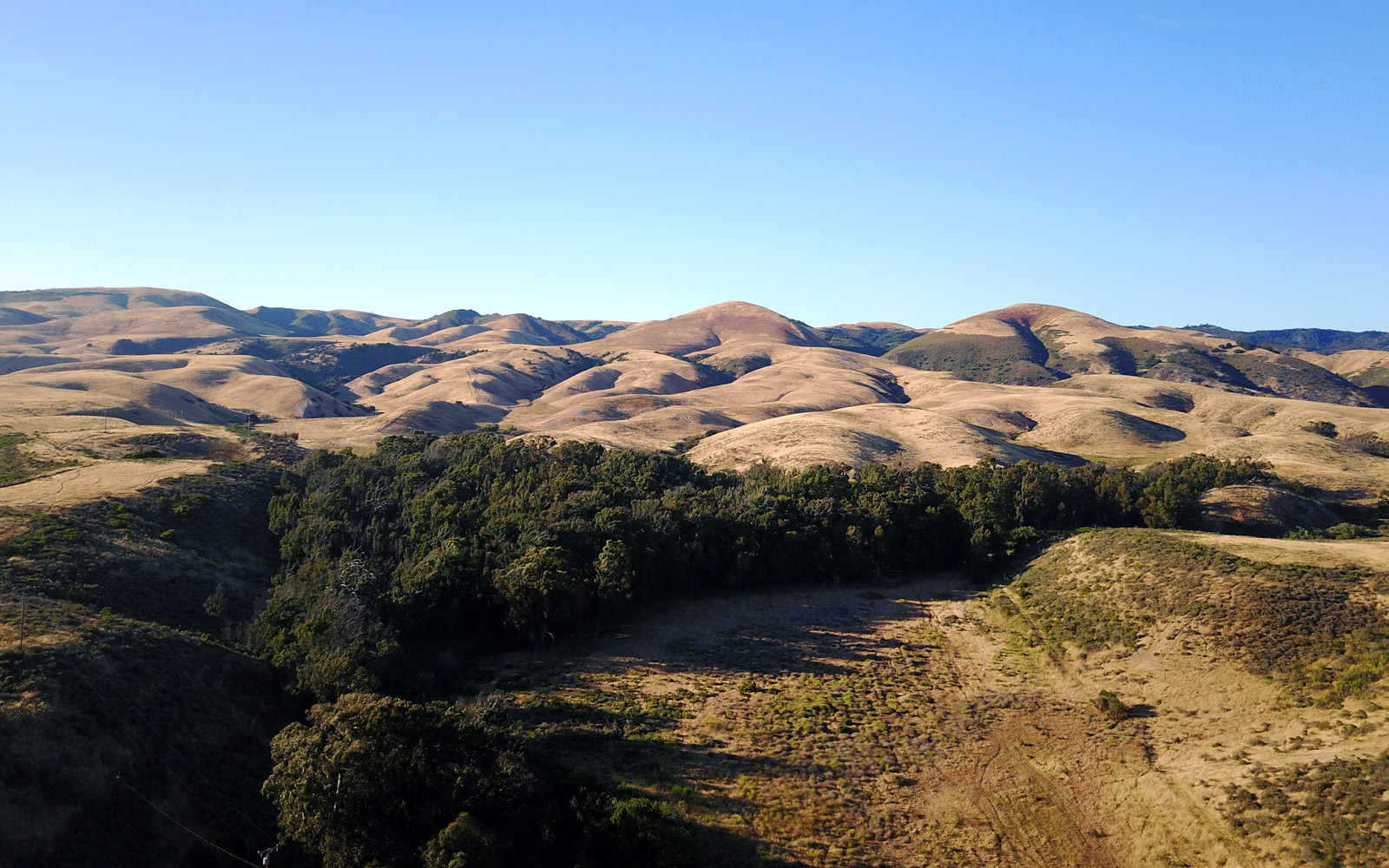 The Nature Conservancy