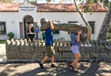 Dino Days: Big Dinosaurs with Paleontologist Jenna Rolle