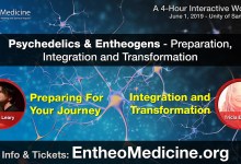 Psychedelics and Entheogens – Preparation, Integration and Transformation