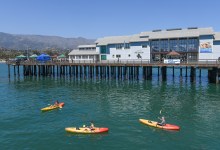 World Oceans Day