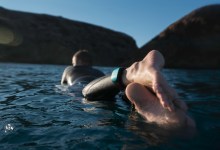 SharkBanz Reduces Risk of Attack, Makers Say