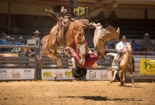 Equestrians, Soccer Club Clash Over Earl Warren’s Future