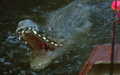 ‘Crawl’: Sad Turgid Swamp Gator Epic