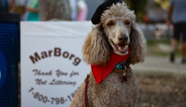 French Fête Celebrates Bastille Day