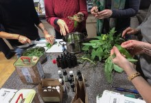 Herbal First Aid Kits For Families Workshop