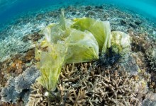 Making Humanity’s Impacts on the Ocean Visible