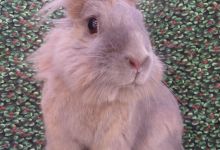 Beverly
