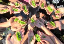 Edible Education Symposium Will Fill Minds, Hearts, and Bellies