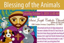 Blessing of Animals