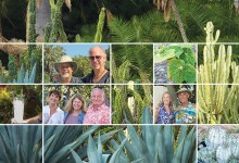Lotusland Exceptional Plant Sale