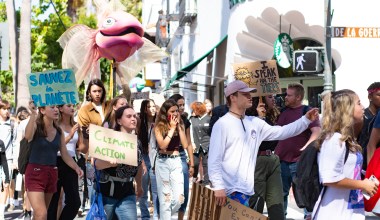 Santa Barbara Strikes for Climate Change