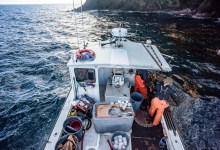 ‘Of The Sea’ Movie Screening at Topa Topa Brewery