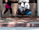 Intensive Homeless Services Increase with Grant