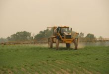 Insecticide Chlorpyrifos Use to End Next Year